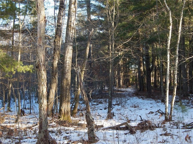 view of snow covered land