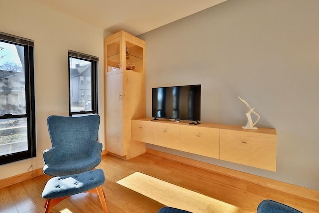 living room with light hardwood / wood-style flooring