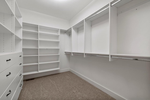 spacious closet featuring carpet flooring