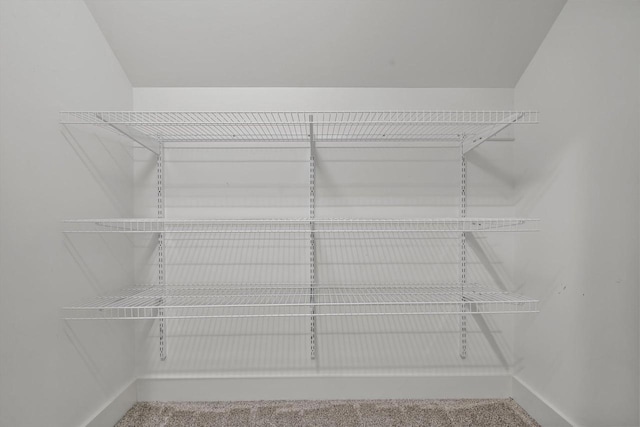 spacious closet featuring carpet flooring