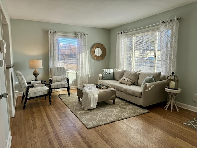 living room featuring a healthy amount of sunlight and hardwood / wood-style floors