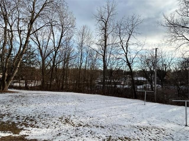 view of yard covered in snow