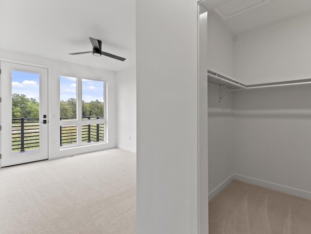 walk in closet featuring ceiling fan and light carpet