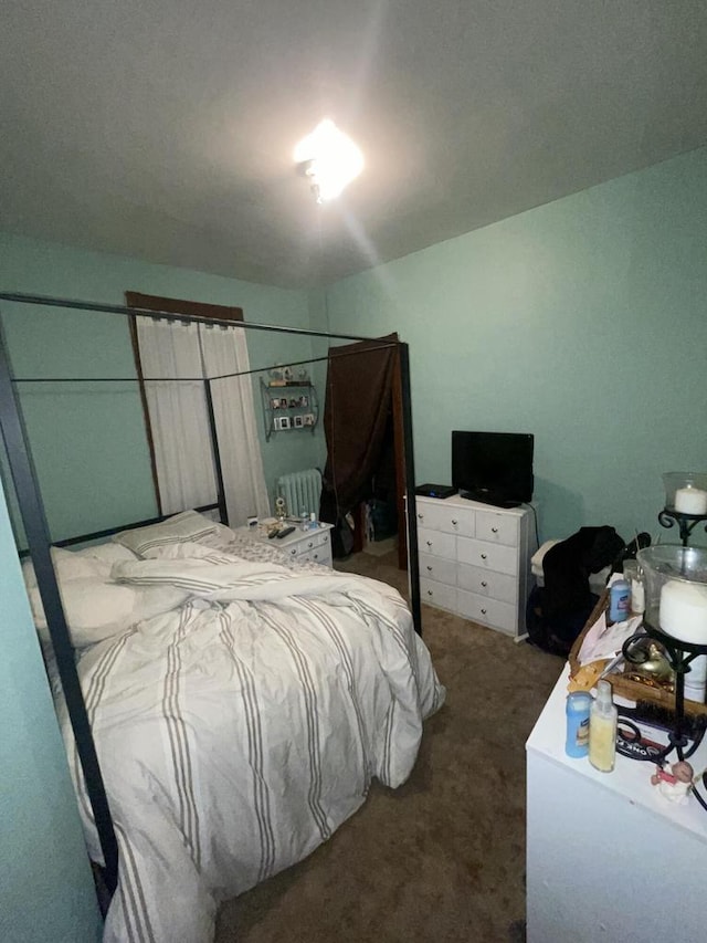 bedroom with dark colored carpet