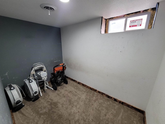 interior space with carpet floors and a textured ceiling