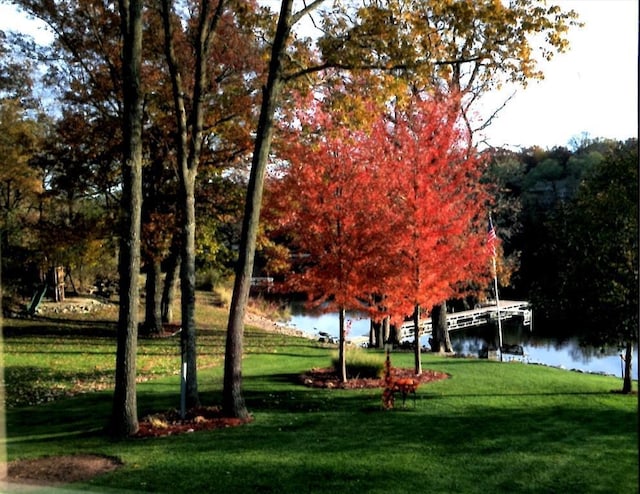 view of home's community with a dock, a lawn, and a water view