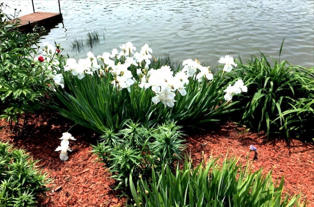 water view featuring a dock