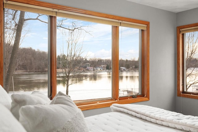 bedroom with a water view