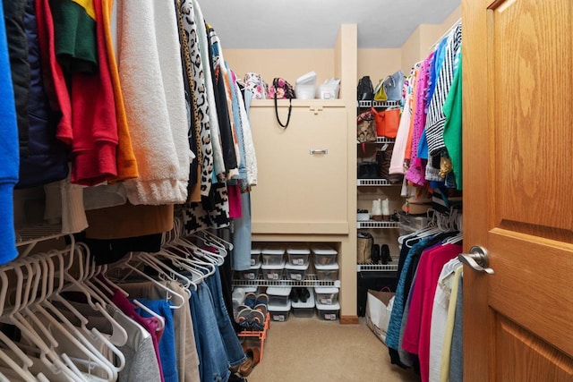 spacious closet with carpet flooring