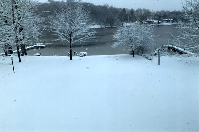 yard layered in snow with a water view