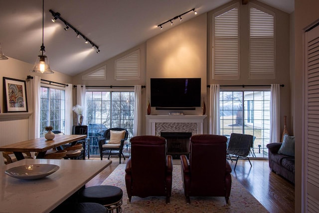 living room with hardwood / wood-style flooring, a wealth of natural light, and high vaulted ceiling