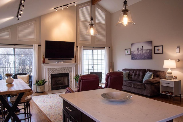 living room featuring a tile fireplace, plenty of natural light, hardwood / wood-style floors, and high vaulted ceiling