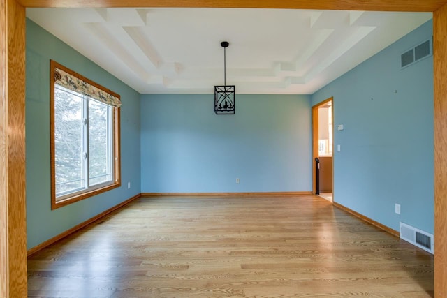 spare room featuring a raised ceiling and light hardwood / wood-style flooring