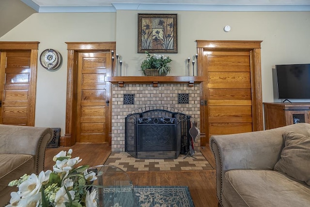 living room with a fireplace and wood-type flooring