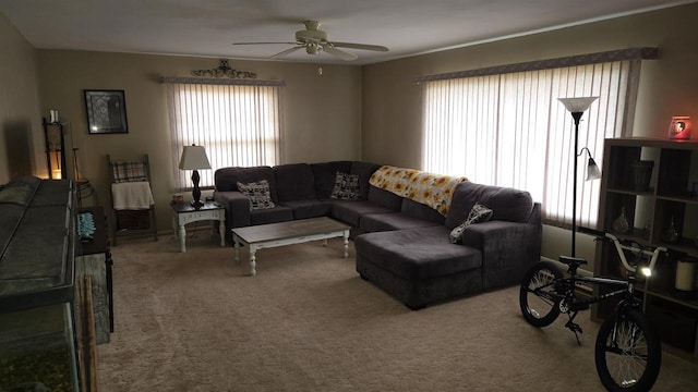 living room featuring ceiling fan and carpet floors