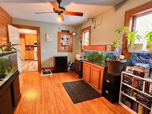 interior space with ceiling fan and light hardwood / wood-style flooring