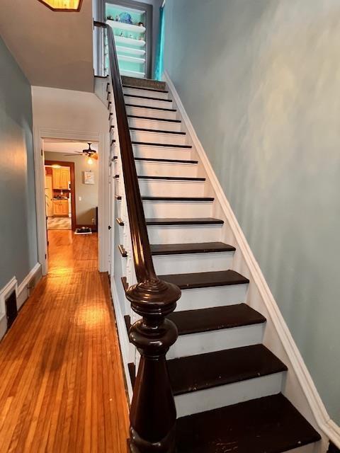 staircase featuring ceiling fan and wood-type flooring