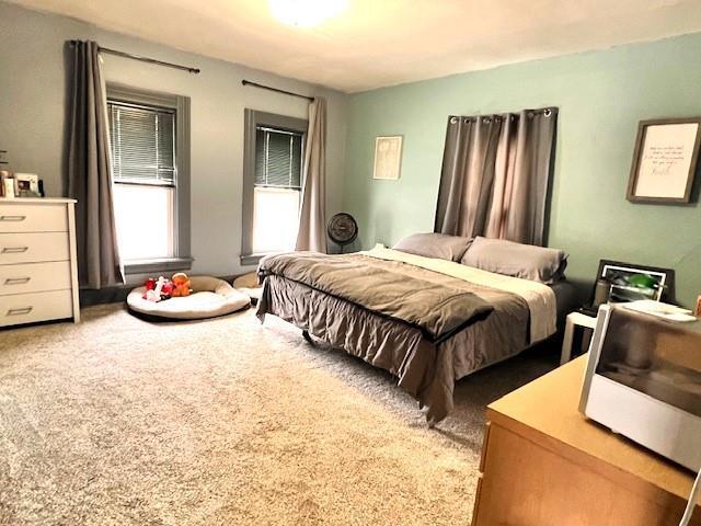 bedroom featuring carpet