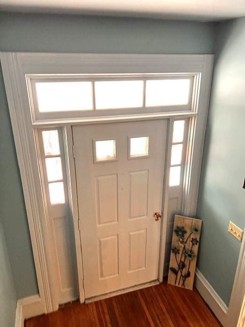 foyer featuring plenty of natural light and dark hardwood / wood-style floors