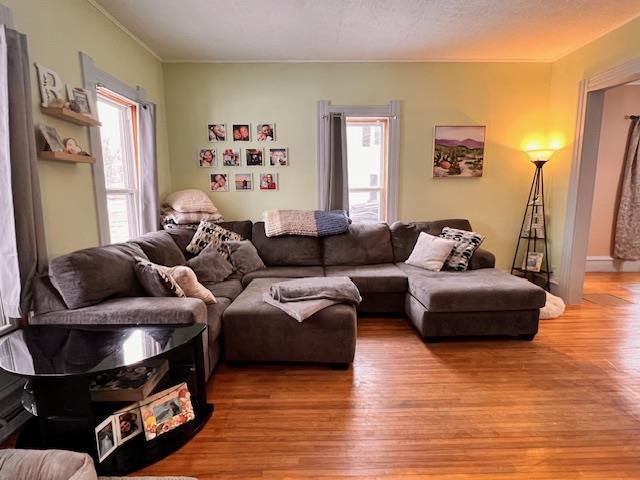 living room with ornamental molding, a healthy amount of sunlight, and light wood-type flooring