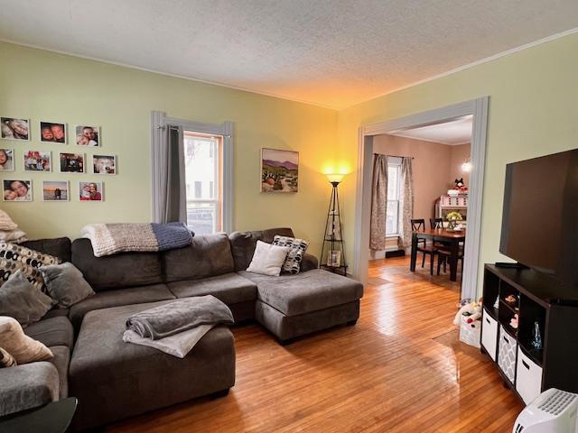 living room featuring light hardwood / wood-style flooring and a textured ceiling