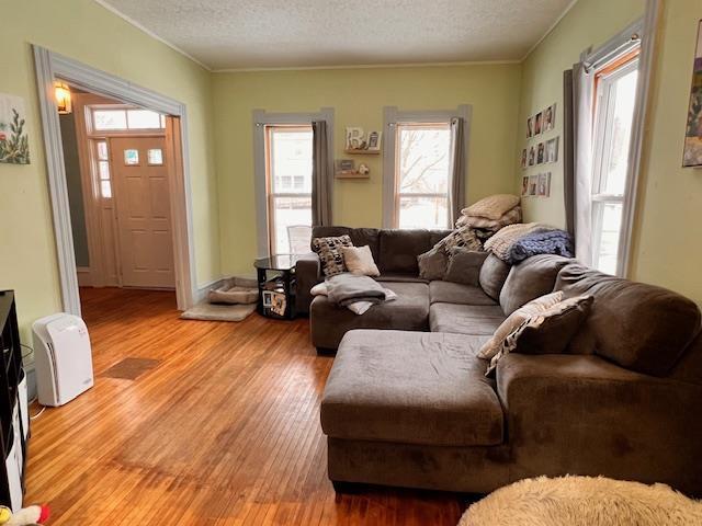 living room with crown molding, a healthy amount of sunlight, light hardwood / wood-style floors, and a textured ceiling