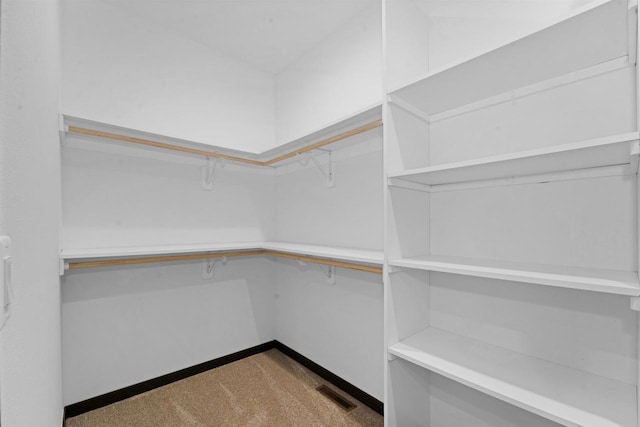 spacious closet featuring carpet flooring