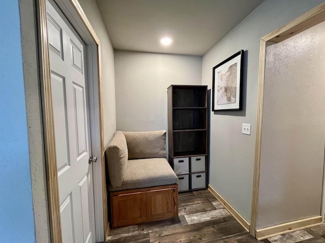 living area featuring dark hardwood / wood-style floors