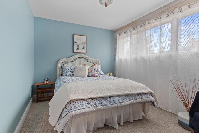 865 Richmond Way, Nekoosa, WI 54457 - bedroom with carpet and baseboards