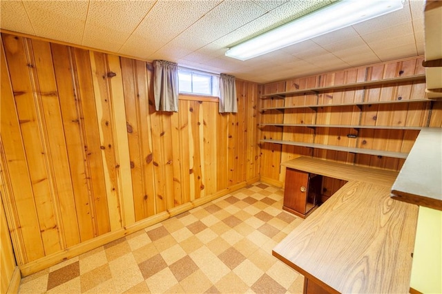 basement with wood walls