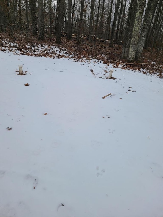 view of yard covered in snow