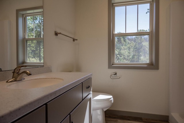 bathroom featuring vanity, wood-type flooring, and toilet