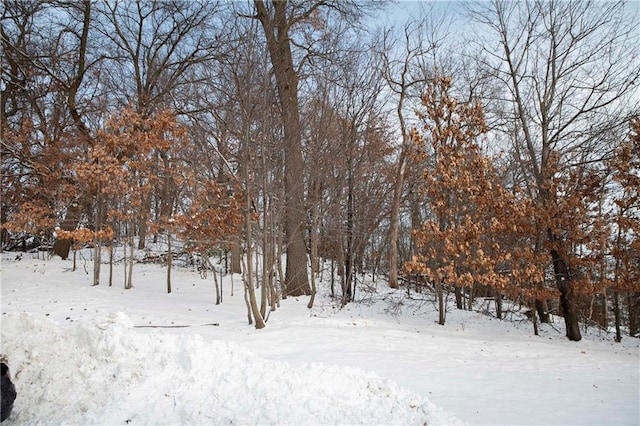 view of snow covered land