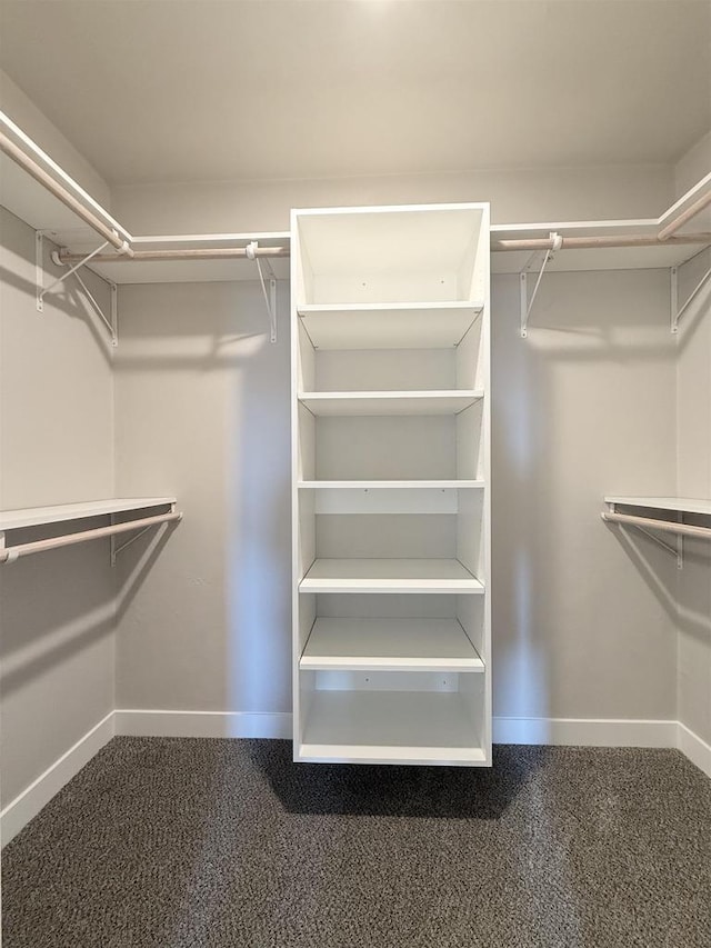 walk in closet featuring carpet flooring