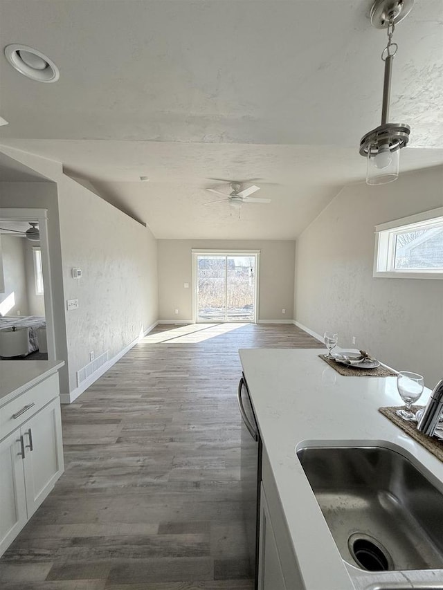 kitchen with sink, plenty of natural light, hardwood / wood-style floors, and white cabinets