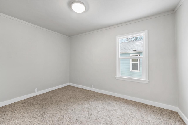 empty room featuring ornamental molding and carpet