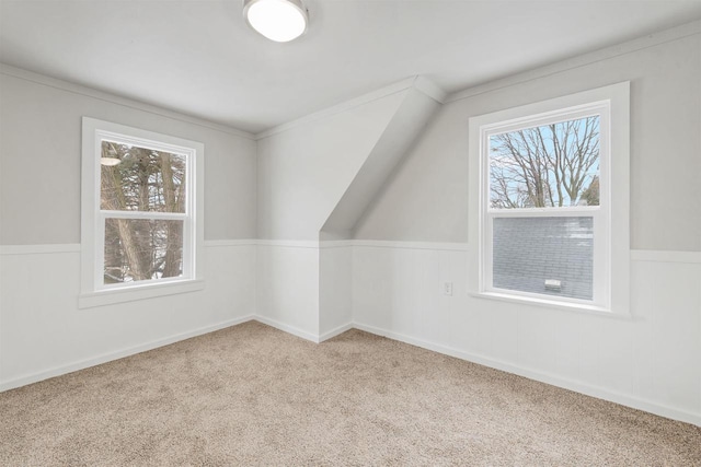 bonus room with light carpet and plenty of natural light