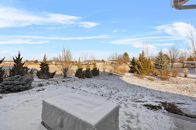 view of yard covered in snow