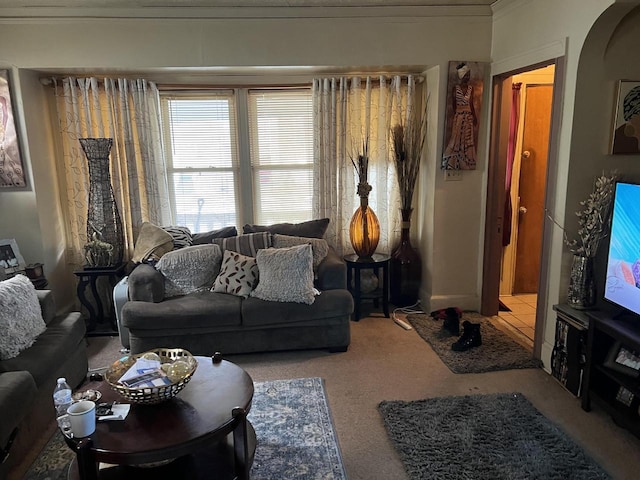 living room with carpet floors