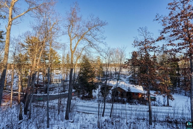 view of yard covered in snow