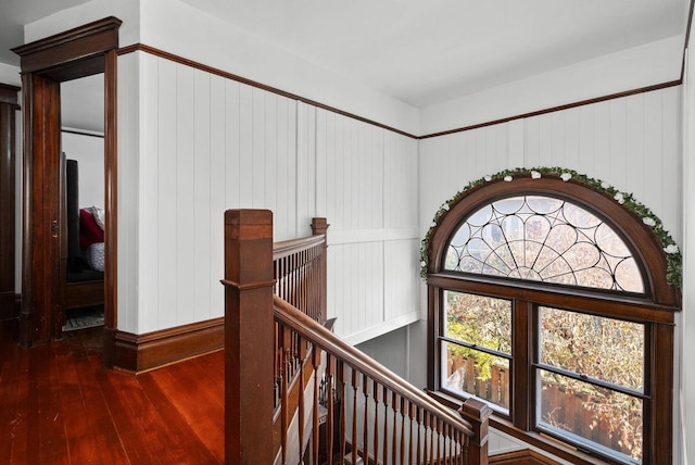 corridor featuring dark hardwood / wood-style flooring