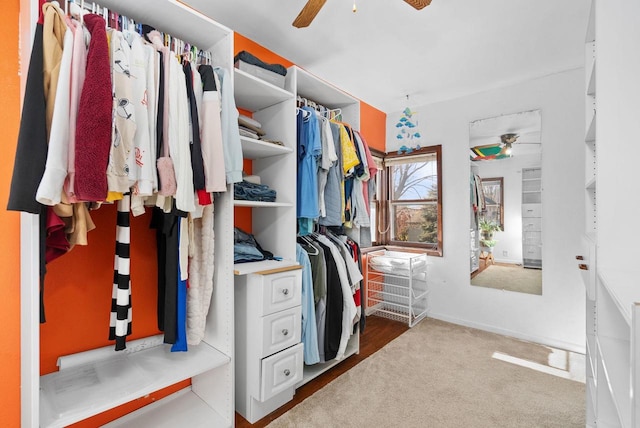 walk in closet with ceiling fan and carpet