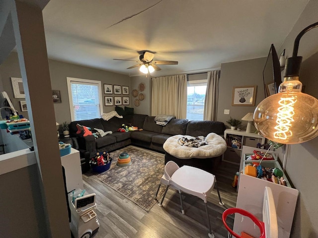 living room with wood-type flooring and ceiling fan