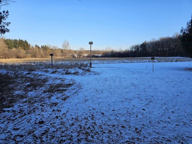 view of yard covered in snow