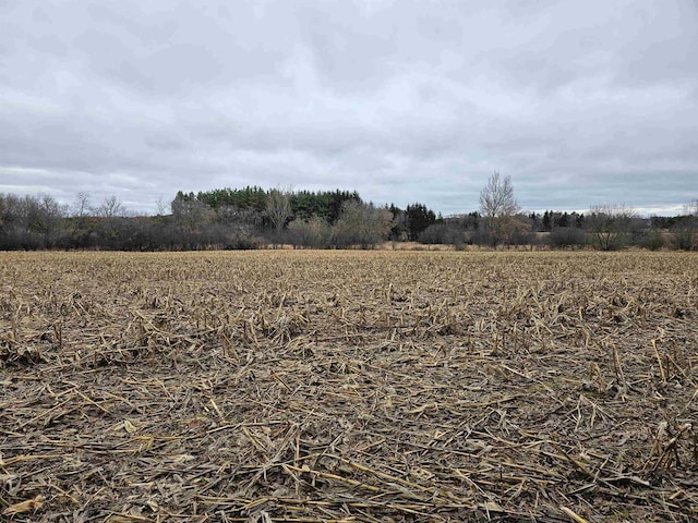 view of landscape featuring a rural view