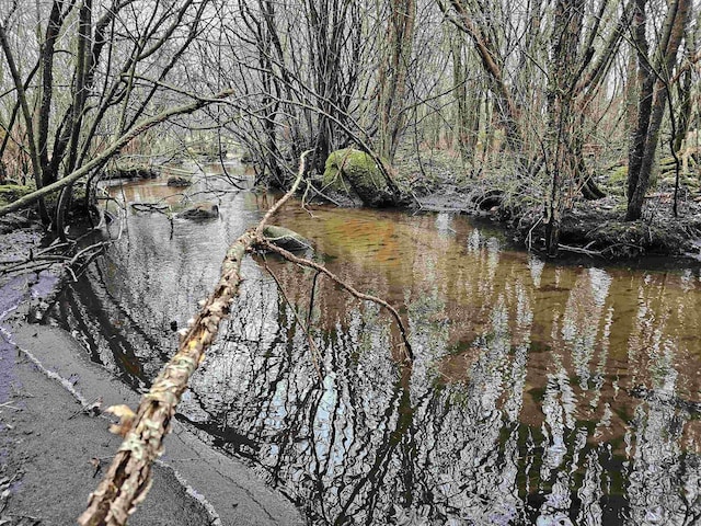 view of water feature