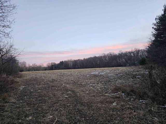 view of nature at dusk