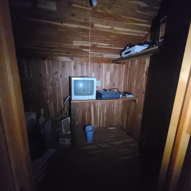 basement with wood walls