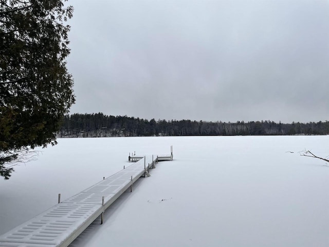 view of dock area