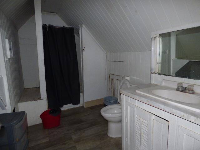 bathroom with walk in shower, lofted ceiling, toilet, wood-type flooring, and vanity